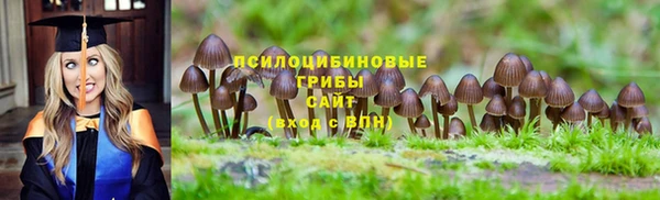 спайс Вязники