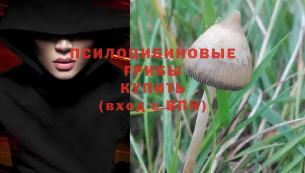 дживик Вязьма