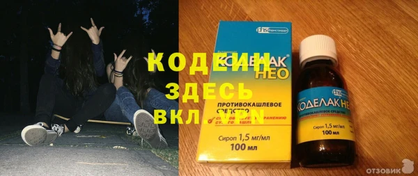дживик Вязьма