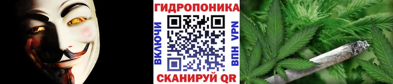 Марихуана сатива Сычёвка